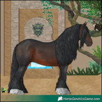 Horse Color:Brown 
