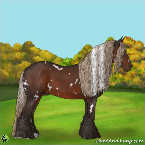 Horse Color:White Spotted Liver Chestnut 