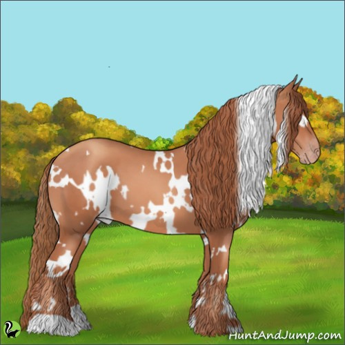 Horse Color:White Spotted Gold Champagne 