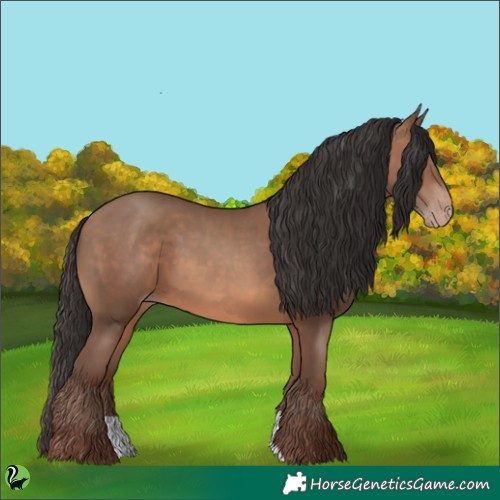 Horse Color:Sable Champagne 