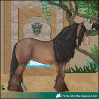Horse Color:Sable Champagne