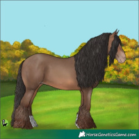 Horse Color:Sable Champagne
