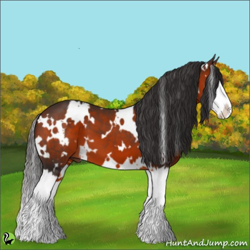 Horse Color:White Spotted Bay Splash 