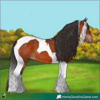 Horse Color:Brown Tobiano