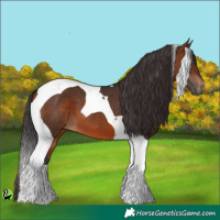 Horse Color:Brown Tobiano