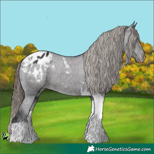 Horse Color:Smoky Black Tobiano Appaloosa 