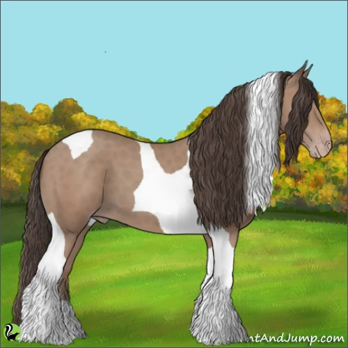 Horse Color:Classic Champagne Tobiano 