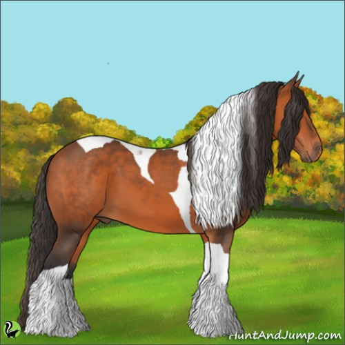 Horse Color:Bay Tobiano 