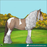 Horse Color:Classic Champagne Tobiano