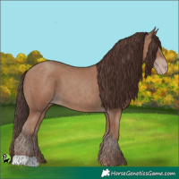 Horse Color:Classic Champagne 