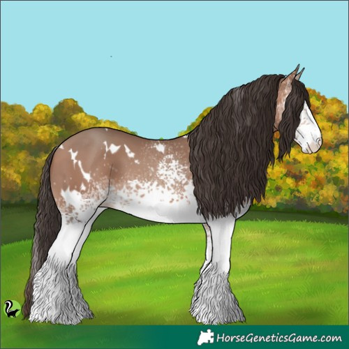 Horse Color:White Spotted Sable Champagne 