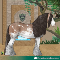 Horse Color:White Spotted Sable Champagne 