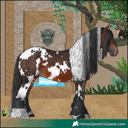 Horse Color:White Spotted Brown 