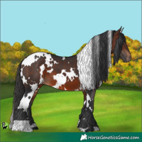 Horse Color:White Spotted Brown 