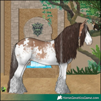 Horse Color:White Spotted Sable Champagne 