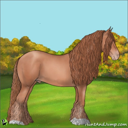 Horse Color:Gold Champagne 