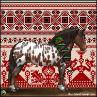 Horse Color:Liver Chestnut Near Leopard