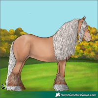 Horse Color:Silver Sable Champagne 