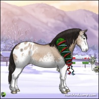 Horse Color:White Spotted Liver Red Dun Blanket 