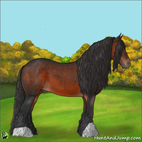 Horse Color:Brown 