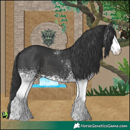 Horse Color:White Spotted Black 