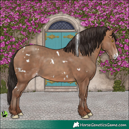 Horse Color:White Spotted Sable Champagne 