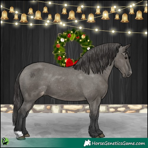 Horse Color:Grullo Varnish