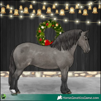 Horse Color:Grullo Varnish