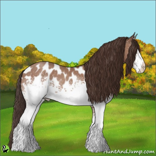 Horse Color:White Spotted Classic Champagne Appaloosa 