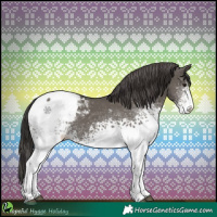 Horse Color:White Spotted Grullo Snowcap 