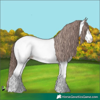 Horse Color:White Spotted Classic Champagne Appaloosa 