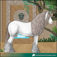 Horse Color:White Spotted Classic Champagne Appaloosa 