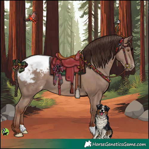 Horse Color:Classic Champagne Snowcap 