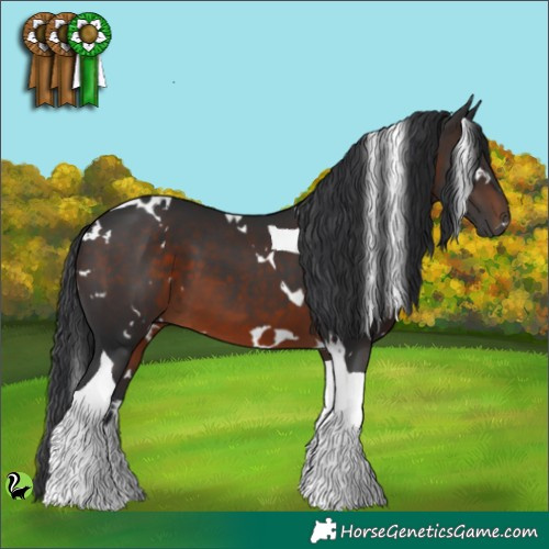 Horse Color:White Spotted Brown Tobiano 
