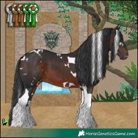 Horse Color:White Spotted Brown Tobiano 