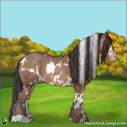 Horse Color:White Spotted Sable Champagne 