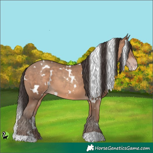Horse Color:White Spotted Sable Champagne