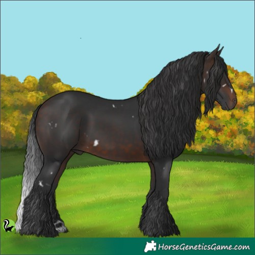 Horse Color:White Spotted Brown 