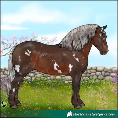Horse Color:White Spotted Silver Brown