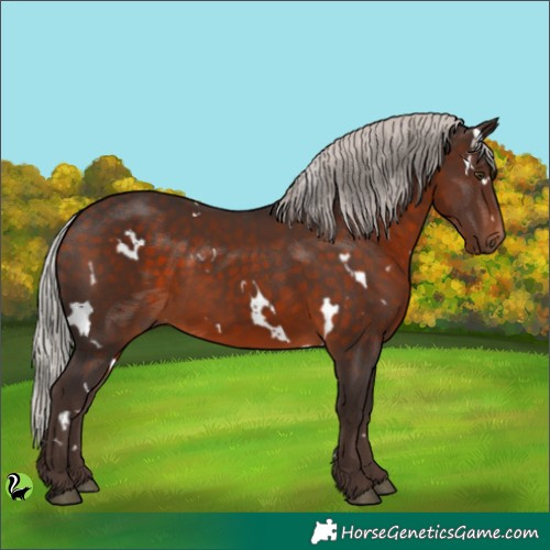 Horse Color:White Spotted Silver Brown 