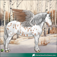 Horse Color:White Spotted Silver Sable Champagne Appaloosa
