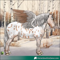 Horse Color:White Spotted Silver Sable Champagne Appaloosa 