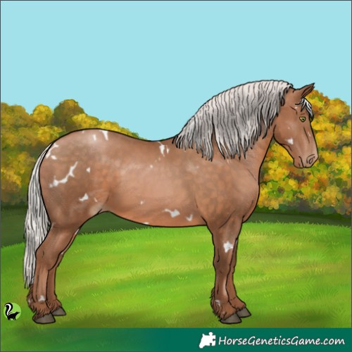 Horse Color:White Spotted Silver Brown Pearl 