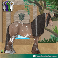 Horse Color:White Spotted Sable Champagne 
