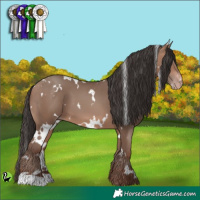 Horse Color:White Spotted Sable Champagne 