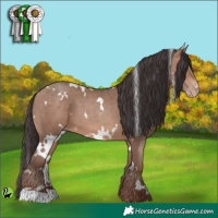 Horse Color:White Spotted Sable Champagne 
