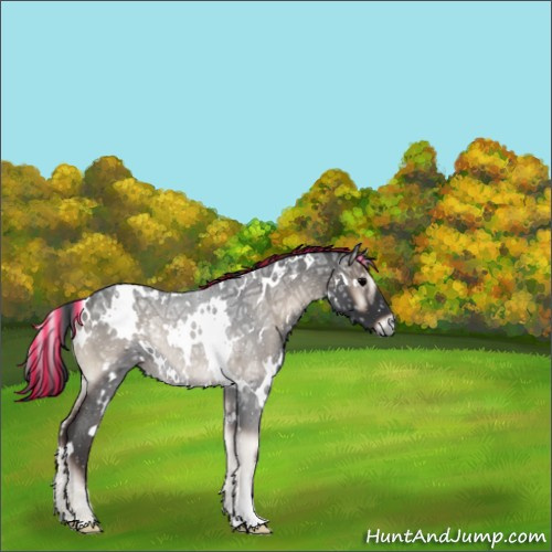 Horse Color:Painted White Spotted Blue Onyx Ice Roan Rabicano 