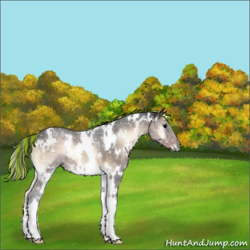 Horse Color:Painted White Spotted Brown Onyx 