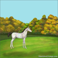 Horse Color:White Spotted Amber Champagne Ice 