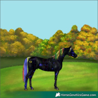 Horse Color:ERROR: UNKNOWN ANOMALY